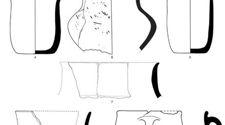 Образцы, найденные в пещере Арени-1